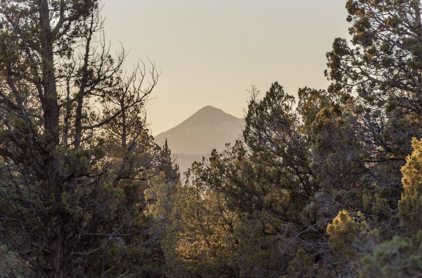 63805 Cricketwood Dr.